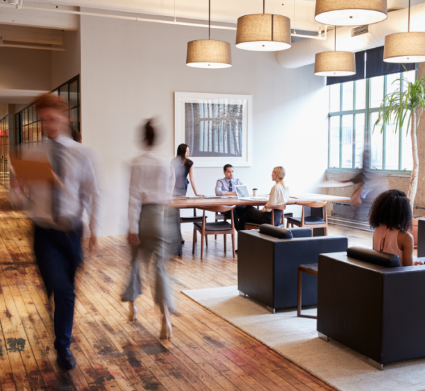 Business & Commerce Hub